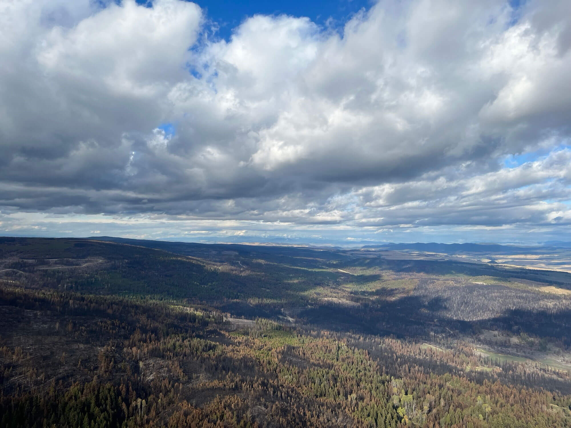 Predicting largescale wildland fire events in Canada and Alaska
