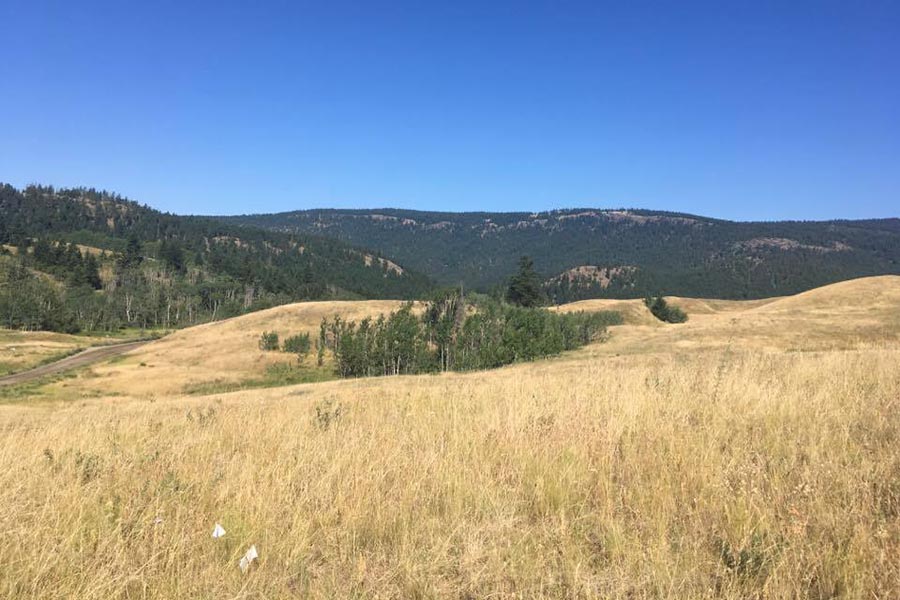 Multifunctional pasture rejuvenation in the Cariboo