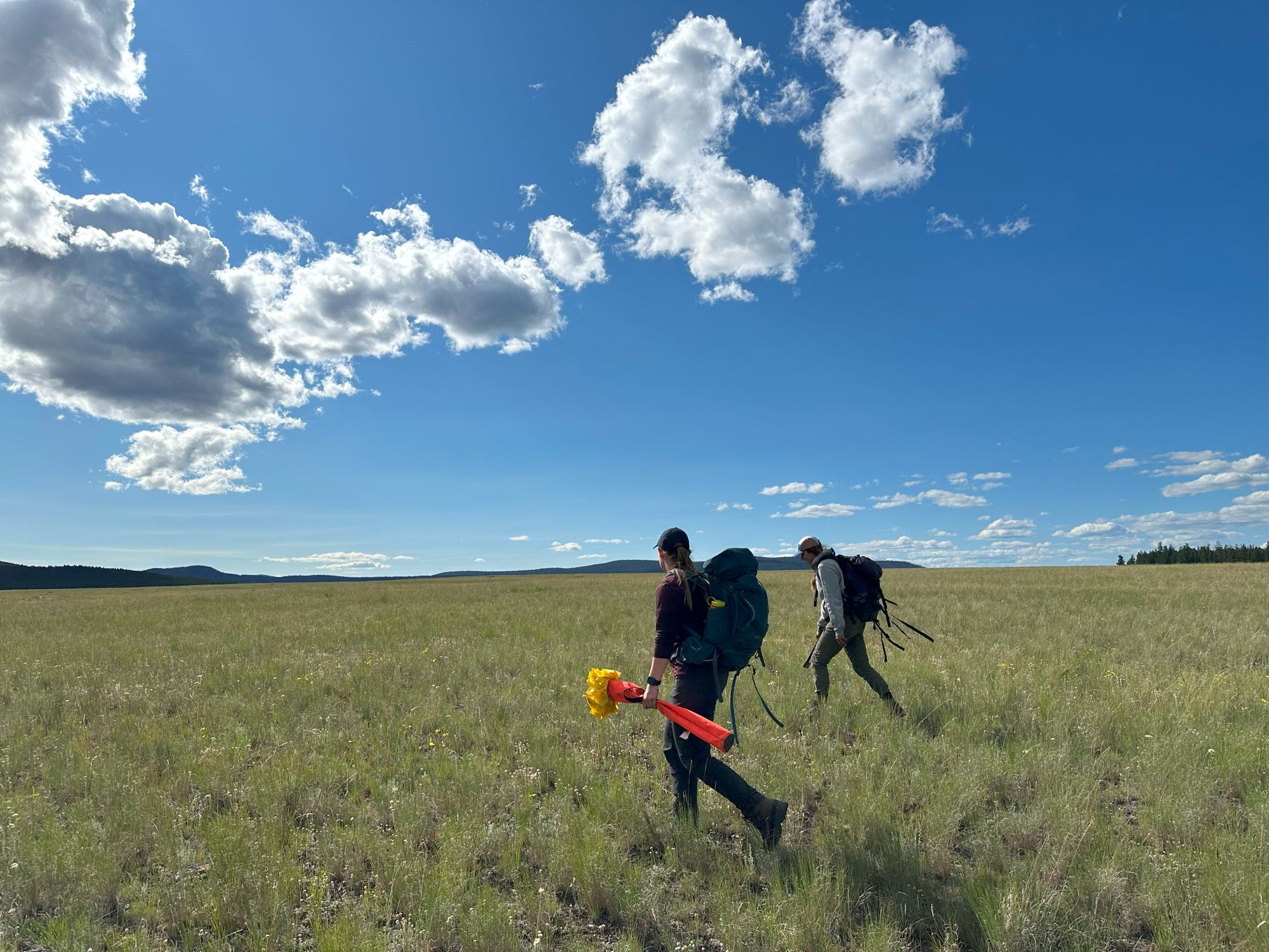 students in grassland