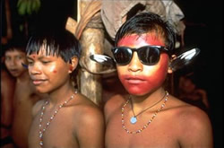 What is Anthropology